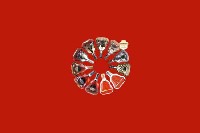 北湖区回收红酒